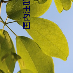 国内注册tiwwer （感深肺腑）