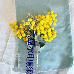 六盘水电影院 （粉墨登场）
