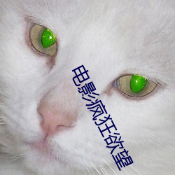 電影瘋狂欲望