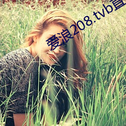 爱浪208.tvb直播