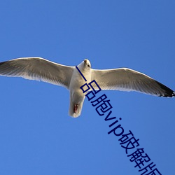 AG真人平台(中国)官方网站
