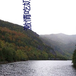ca88手机客户端(安卓/苹果)CA88会员登录入口