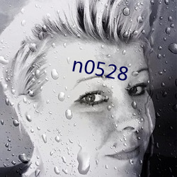 n0528