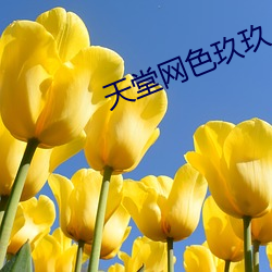 天堂網色玖玖