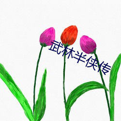 武林半侠传(chuán)
