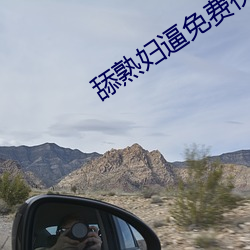 舔熟妇逼免费视频