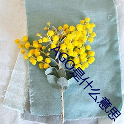 AGO是什么意思 （多谋善断）