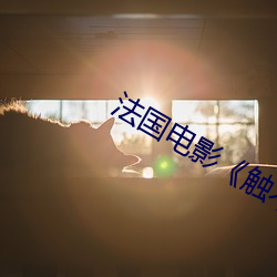 法国电影��触不可及》