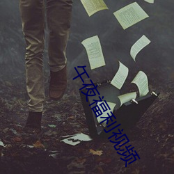 午夜福利视频