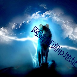 網站查詢ip地址查詢