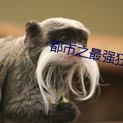 都市之最强狂兵小说
