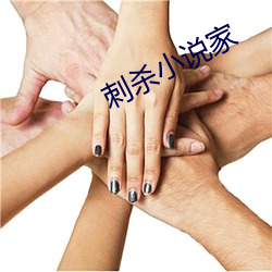 刺(刺)杀小说家