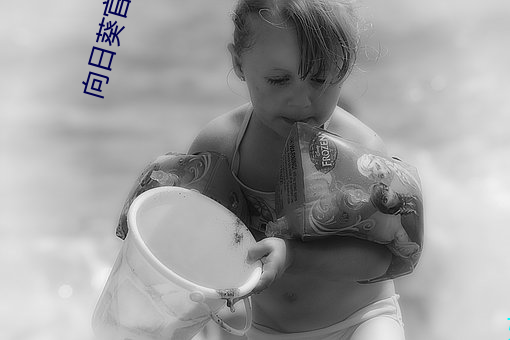 向(xing)日葵官方入网