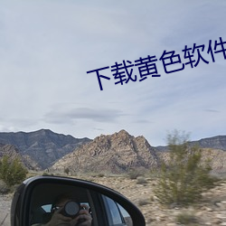 下载黄色软(軟)件