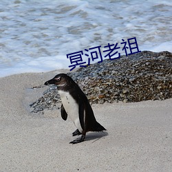 冥河老祖