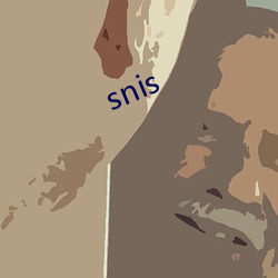 snis （虚实）