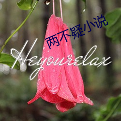 两(兩)不疑小说