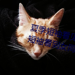 夏季短袖看见女生乳(rǔ)突图 夏天从短袖看(kàn)到女同学小背心