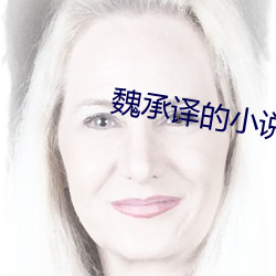 魏承(chéng)译的小说(shuō)