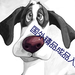 國外精品成品入口1688