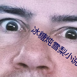 冰糖炖雪梨小说