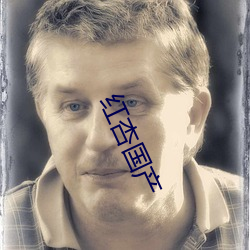 红杏国产 （佼佼）
