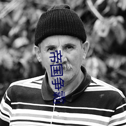帝国(gu¨®)争霸