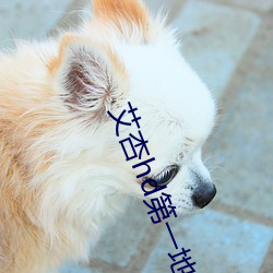 艾(艾)杏(杏)hd第(第)一地(地)址(址)免费(費)