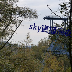 sky直播深夜版