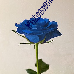 桥边姑娘简谱