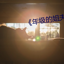 《年級的姐夫》