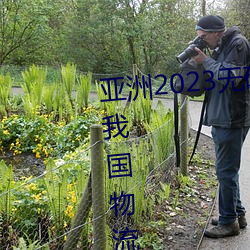 亞洲2023無礦轉碼專區2023高清我國物流市場規模連續7年位