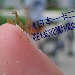 《日本一卡二卡3卡4卡乱码理论》在线(xiàn)观看视频