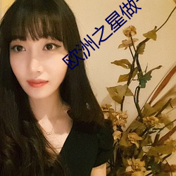 欧洲之星做一次多少钱