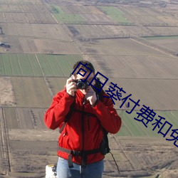 向日葵付费(費)和免费(費)区(區)别(別)