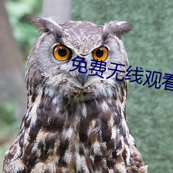 免费无(無)线观看完整版