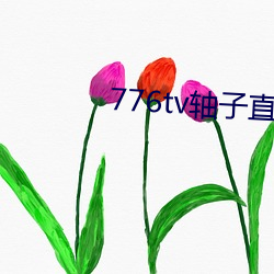 776tv轴子直播