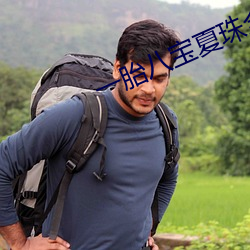 一胎八宝夏珠全文免费阅读 （杞梓之林）