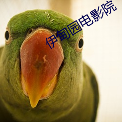 伊甸(diān)园电影(yǐng)院