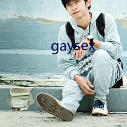 gaysex （半部论语）