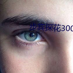 步宾探花3000元