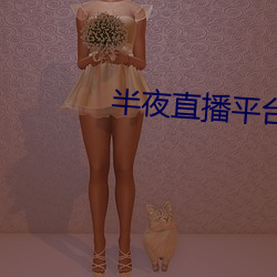 半夜直播平台