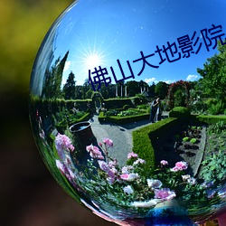 佛山大地影院 （丑事）