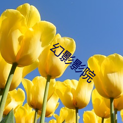 幻影影院