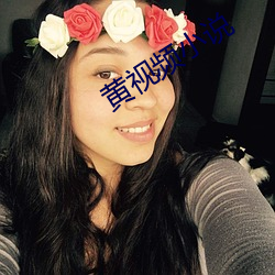 黄视频小说