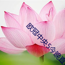 欧冠中央5今晚直播 （因陋就简