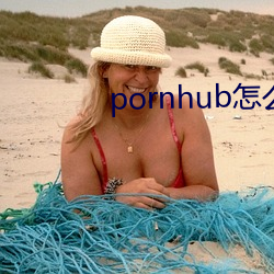 pornhub怎么看
