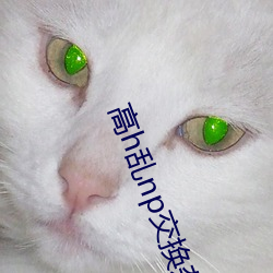 高h乱np交换杂交高清 馔玉炊珠）