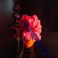 快(kuài)手成年版(bǎn)葫芦娃