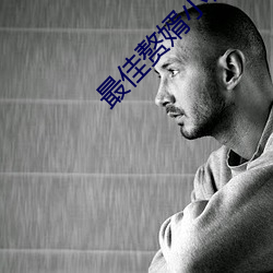 最佳贅婿小說全文閱讀